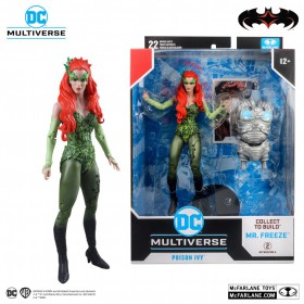 DC Multiverse Batman and Robin Poison Ivy 